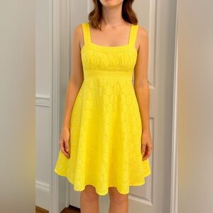 Anthropologie | Donna Morgan | Yellow Eyelet Fit Flare Sundress Cotton | 4P